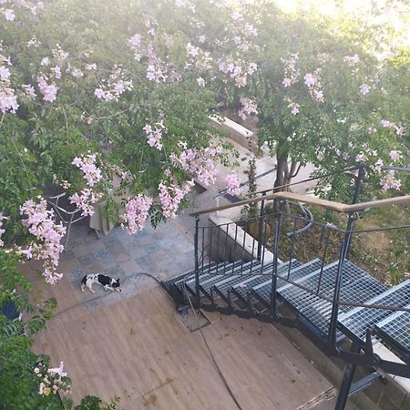 La Fabriqueta Apartament Riudecanyes エクステリア 写真