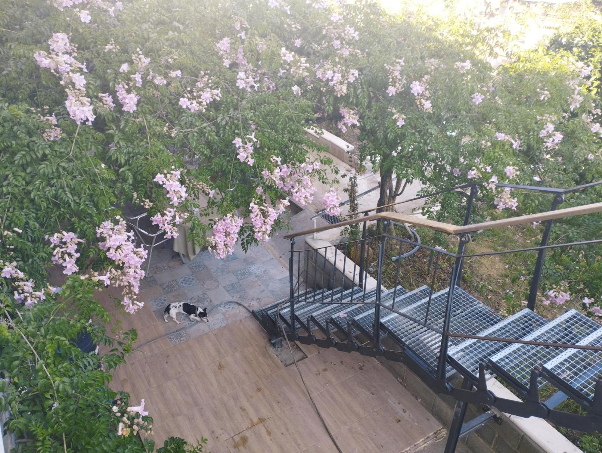 La Fabriqueta Apartament Riudecanyes エクステリア 写真