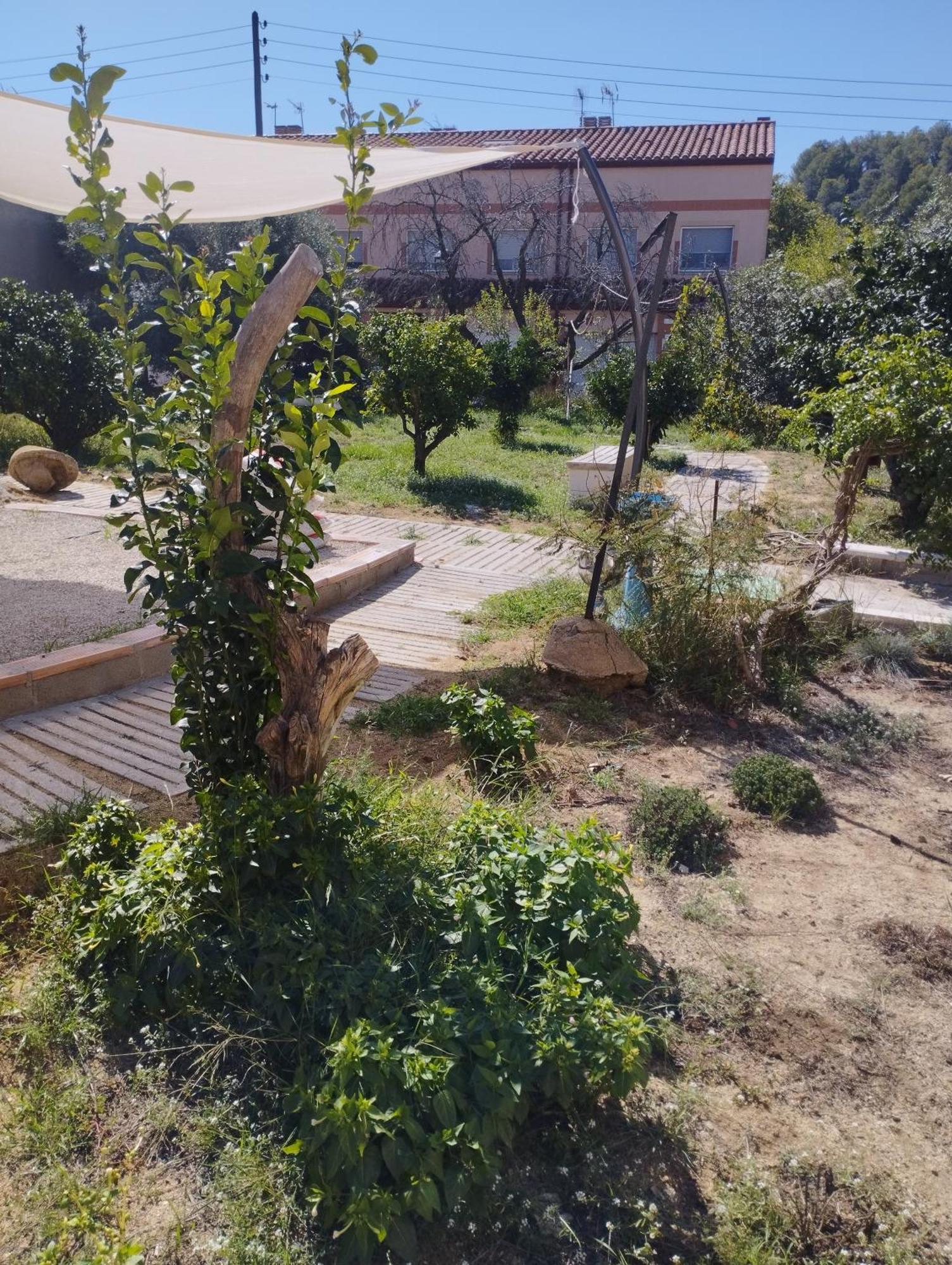 La Fabriqueta Apartament Riudecanyes エクステリア 写真